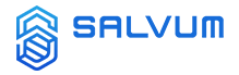 Salvum Torque